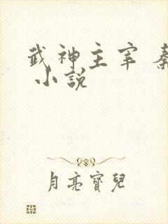 武神主宰 秦尘 小说