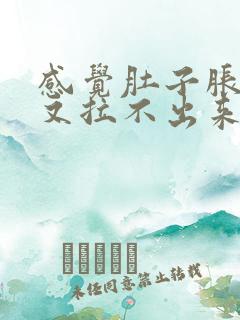 感觉肚子胀大便又拉不出来是什么原因