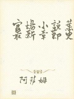 官场小说叶明昊最新章节更新