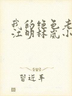 我的绝色老板娘江明林岚小说