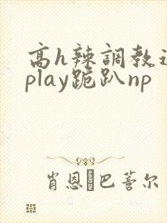 高h辣调教道具play跪趴np