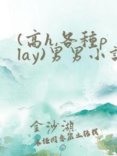 (高h,各种play)男男小说
