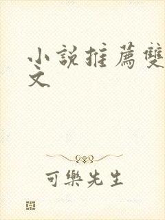 小说推荐双男主文