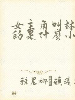 女主角叫林知夏的是什么小说