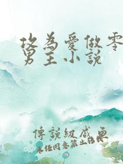 攻为爱做零的双男主小说