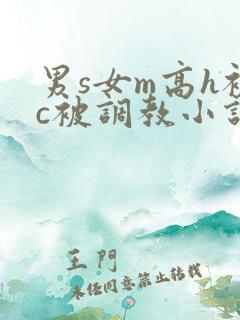 男s女m高h被c被调教小说