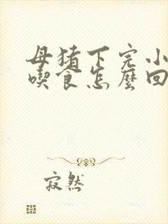 母猪下完小猪不吃食怎么回事