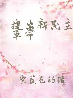 提出新民主主义革命