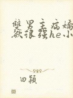 双男主病娇占有欲很强he小说