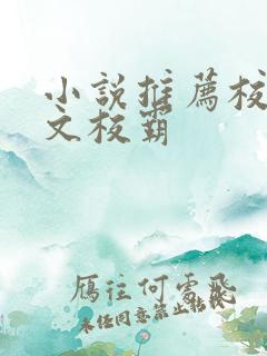 小说推荐校园甜文校霸