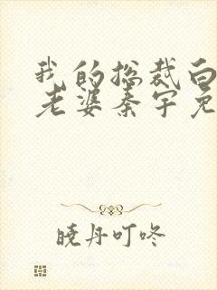 我的总裁白富美老婆秦宇免费阅读全文小说