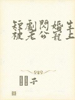 短剧闪婚生子后被老公宠上天