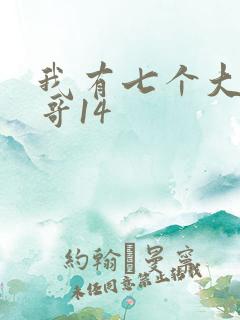 我有七个大佬哥哥14