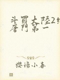 斗罗大陆2绝世唐门第一