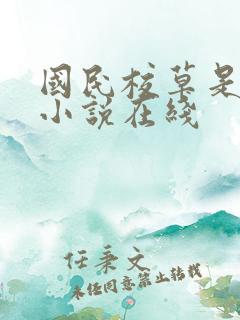 国民校草是女生小说在线