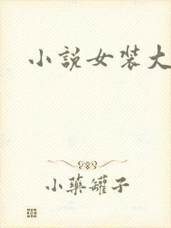 小说女装大佬