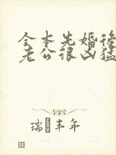 全本先婚后爱:老公很凶猛