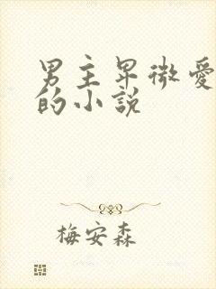 男主卑微爱女主的小说