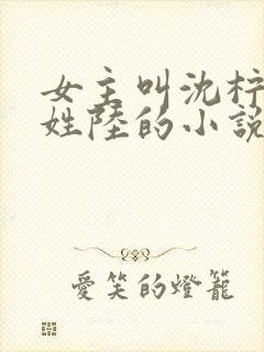 女主叫沈柠男主姓陆的小说