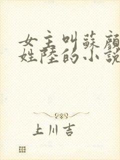 女主叫苏颜男主姓陆的小说