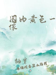 国内黄色一级录像