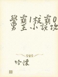 学霸1校霸0双男主小说攻文