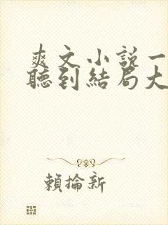 爽文小说一口气听到结局大女主