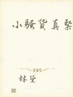 小骚货真紧小说