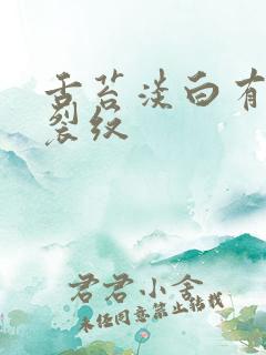 舌苔淡白有齿痕裂纹