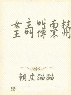 女主叫南枝,男主叫傅寒州的小说