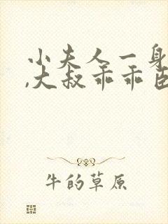 小夫人一身反骨,大叔乖乖臣服在线小说