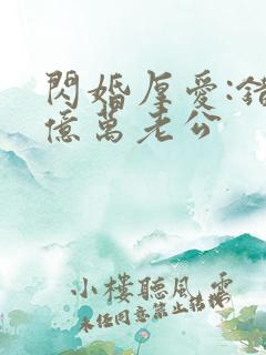 闪婚厚爱:错嫁亿万老公