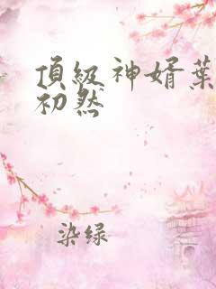 顶级神婿叶辰萧初然