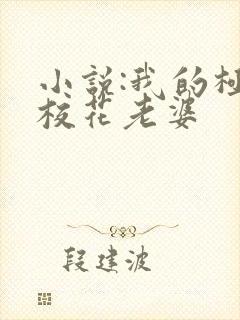 小说:我的极品校花老婆