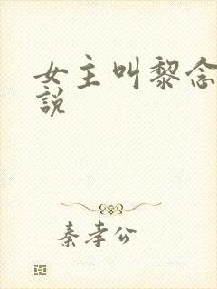 女主叫黎念的小说