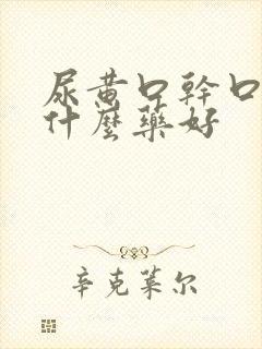 尿黄口干口苦吃什么药好