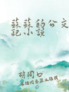 苏苏的公交车日记小说