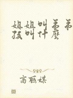 姐姐叫弟弟的小孩叫什么