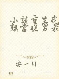 小说重生我真没想当暖男最新章节