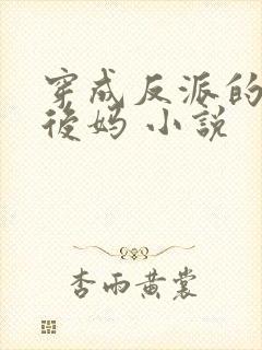 穿成反派的恶毒后妈 小说