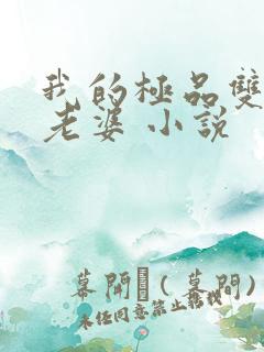 我的极品双胞胎老婆 小说