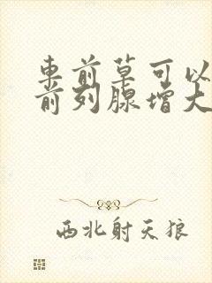 车前草可以治疗前列腺增大吗