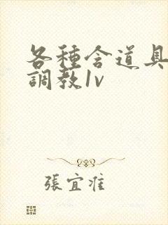 各种含道具高h调教1v