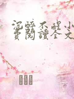 沉醉不醒小说免费阅读全文无弹窗