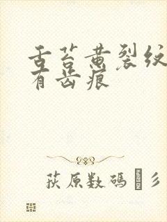 舌苔黄裂纹边上有齿痕