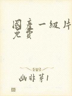 国产一级片精品免费