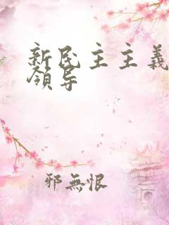 新民主主义革命领导