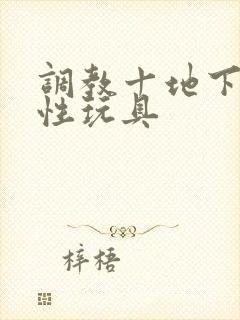 调教十地下室十性玩具