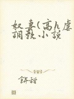 奴妻(高h虐身调教小说