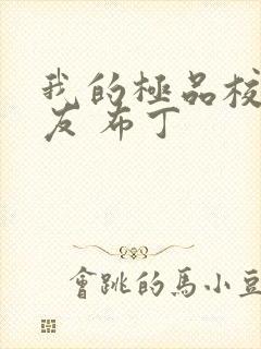 我的极品校花女友 布丁